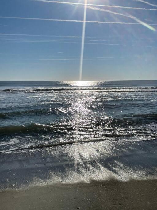 Living The Dream On The Beach! Carolina Beach Eksteriør billede